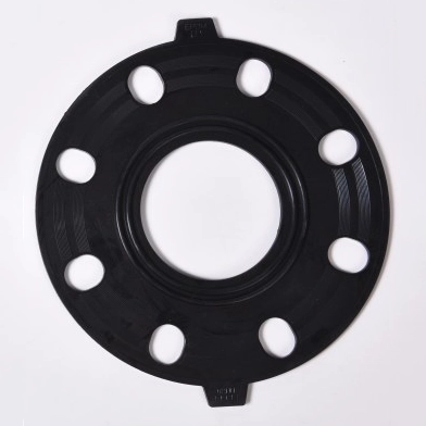 Flange Gasket