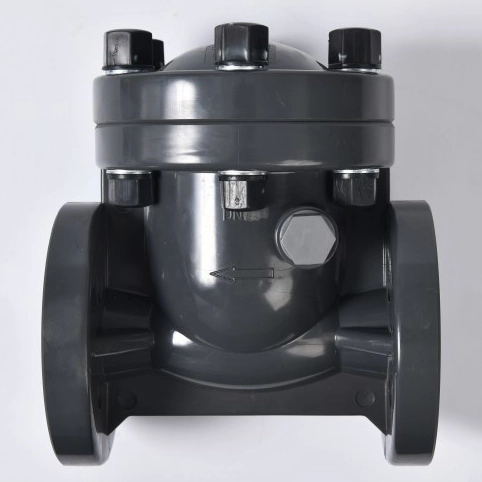 Swing Check Valve